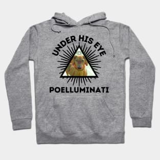 Poelluminati Hoodie